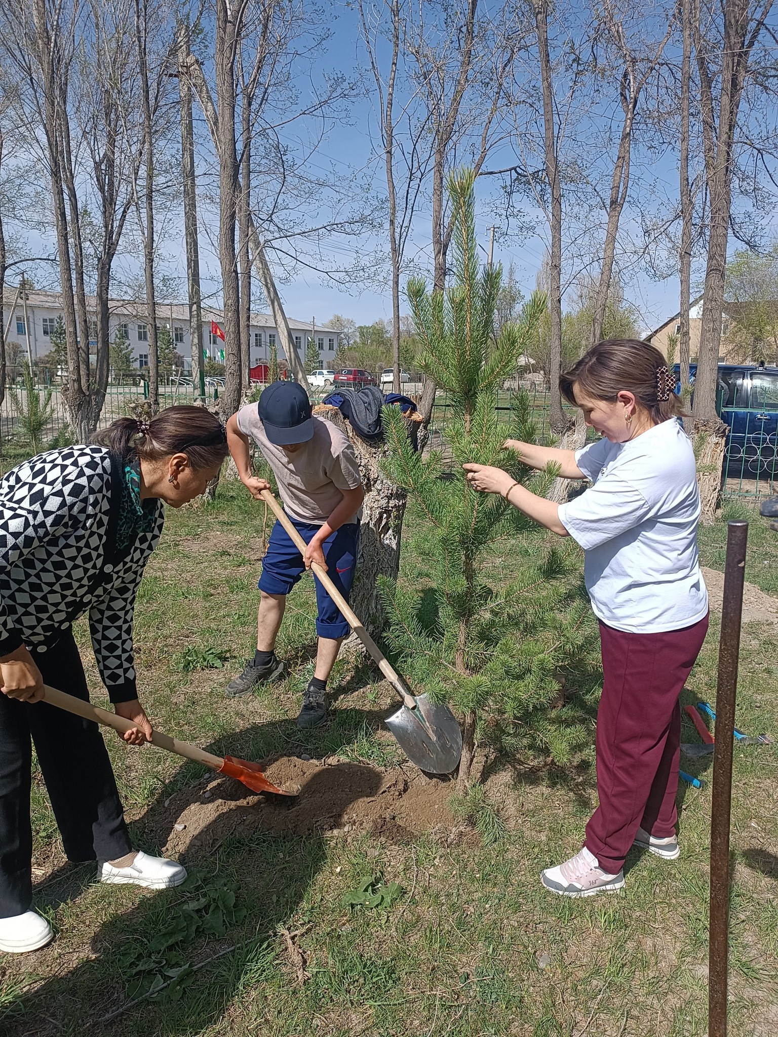 Жашыл мурас